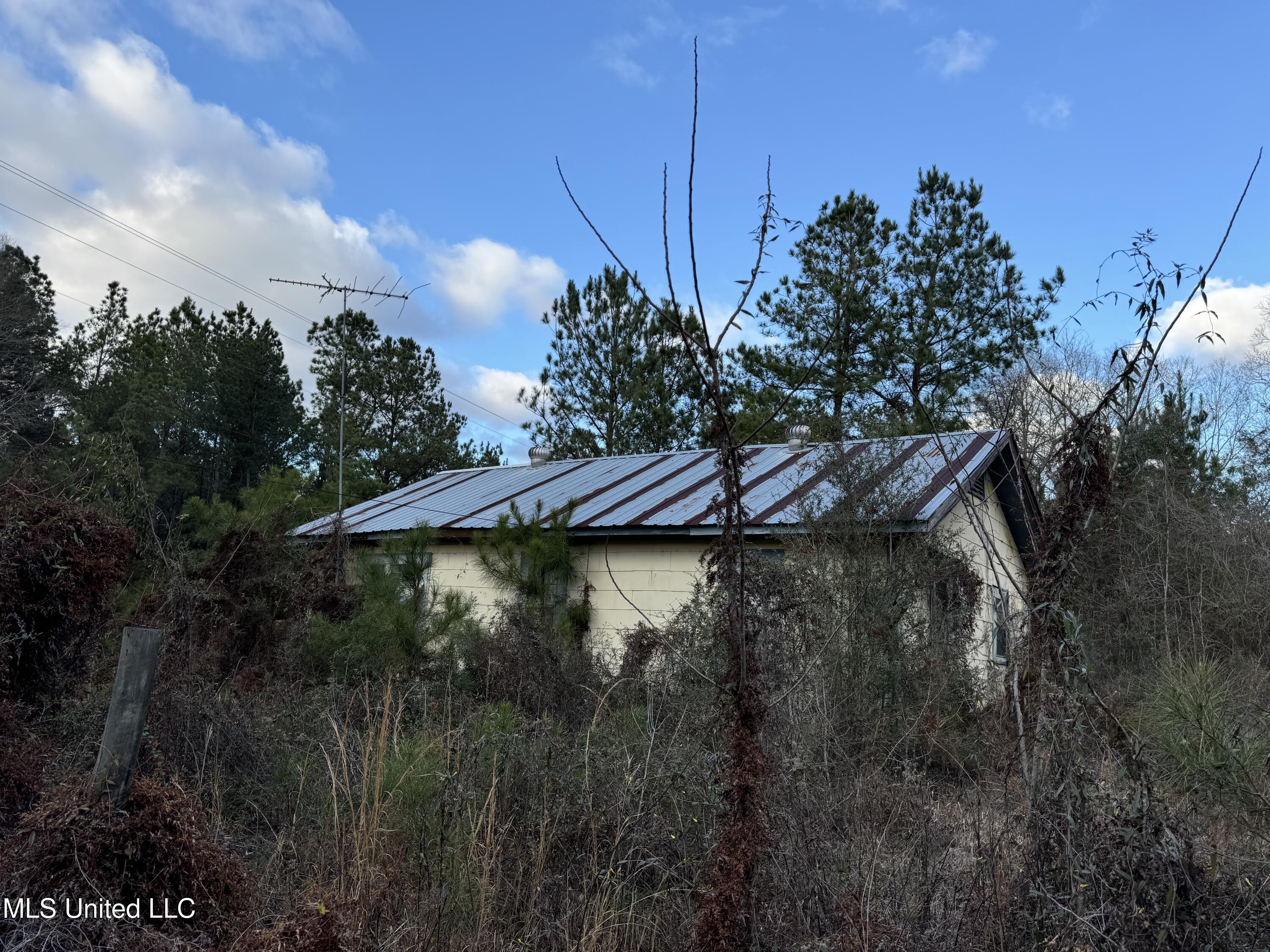 334 Baughman Road Poplarville, MS 39470 - Photo 16 of 19 IMG_1497