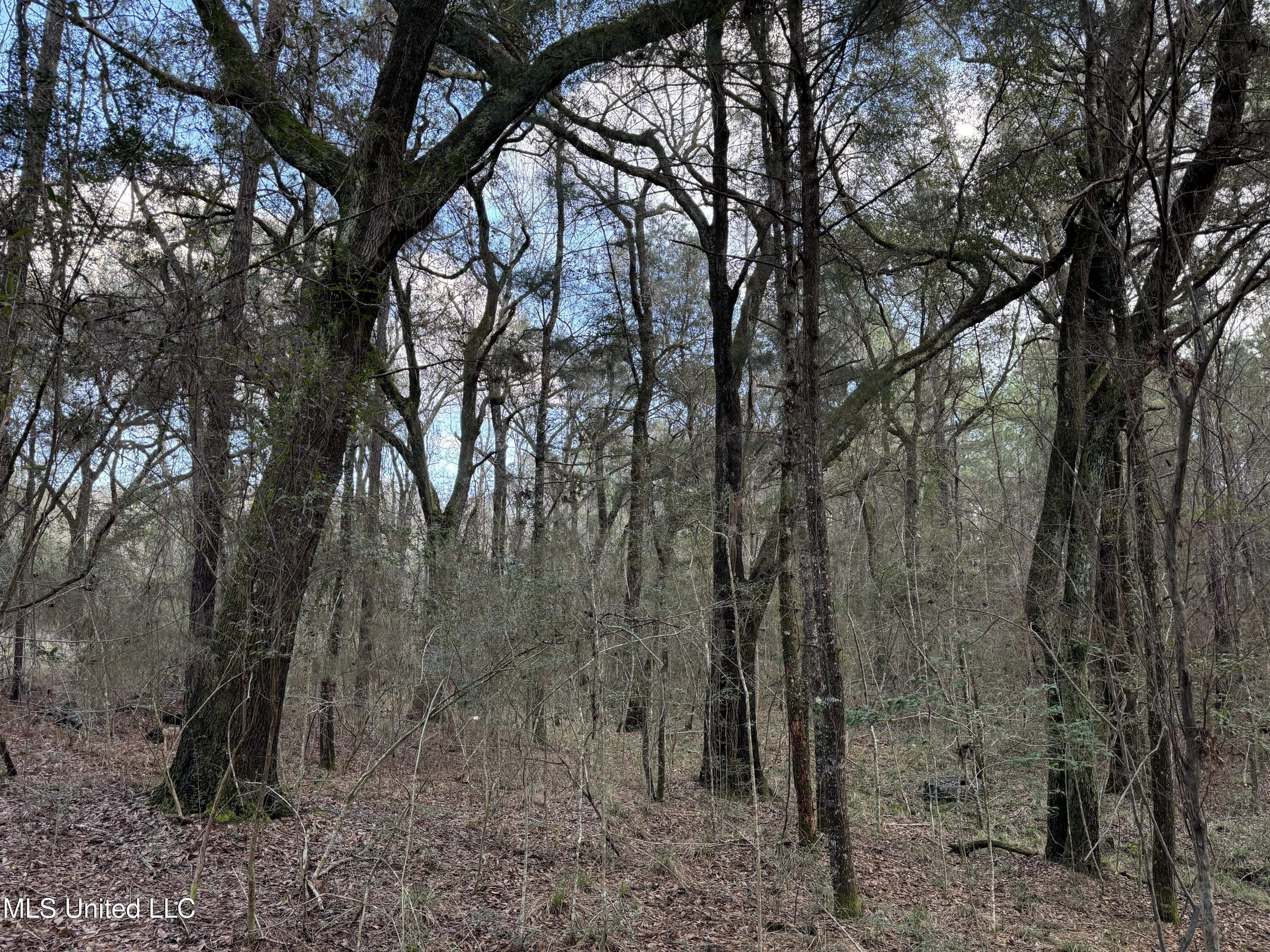 334 Baughman Road Poplarville, MS 39470 - Photo 4 of 19 IMG_1490