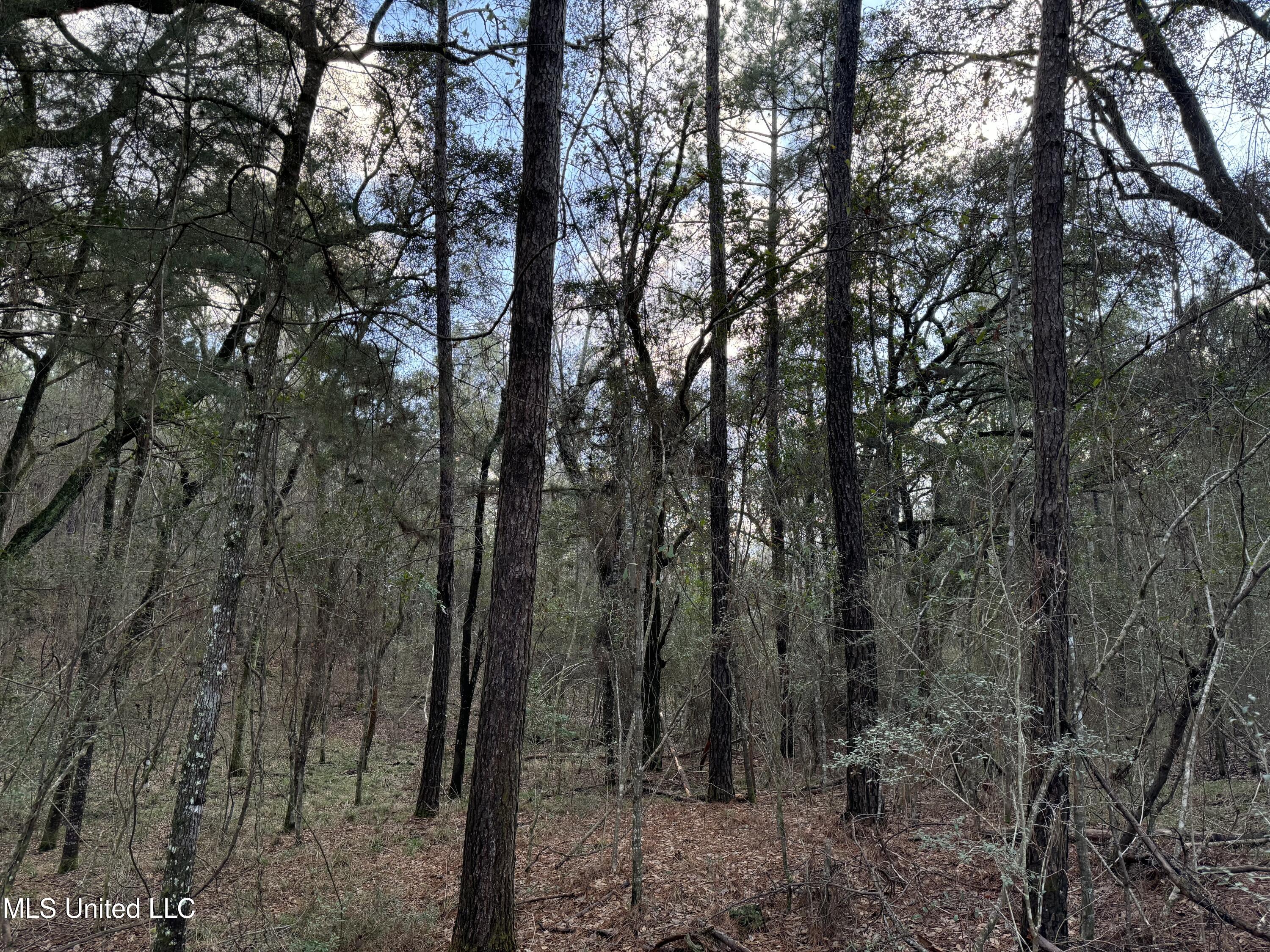 334 Baughman Road Poplarville, MS 39470 - Photo 5 of 19 IMG_1489