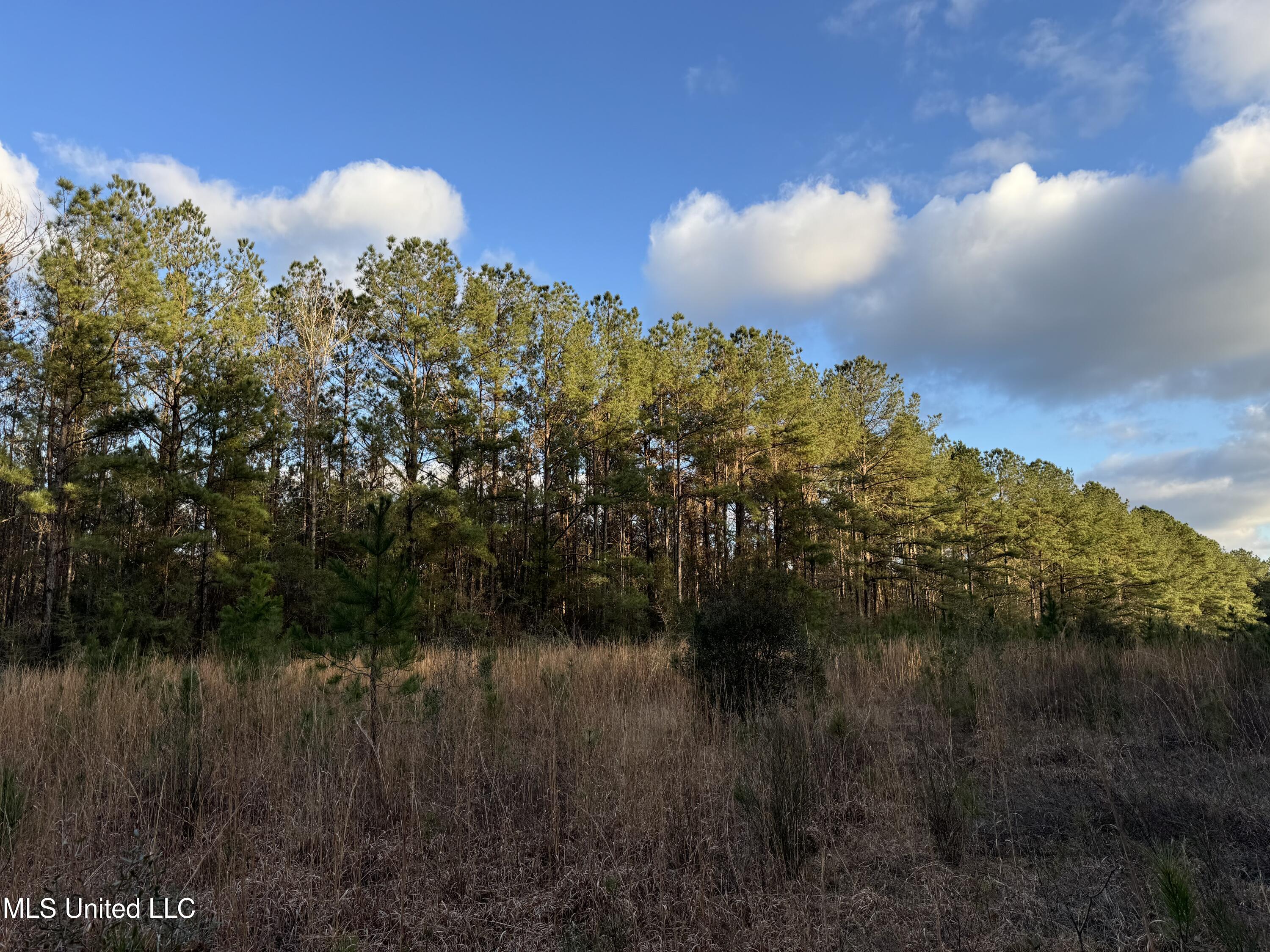 334 Baughman Road Poplarville, MS 39470 - Photo 6 of 19 IMG_1504