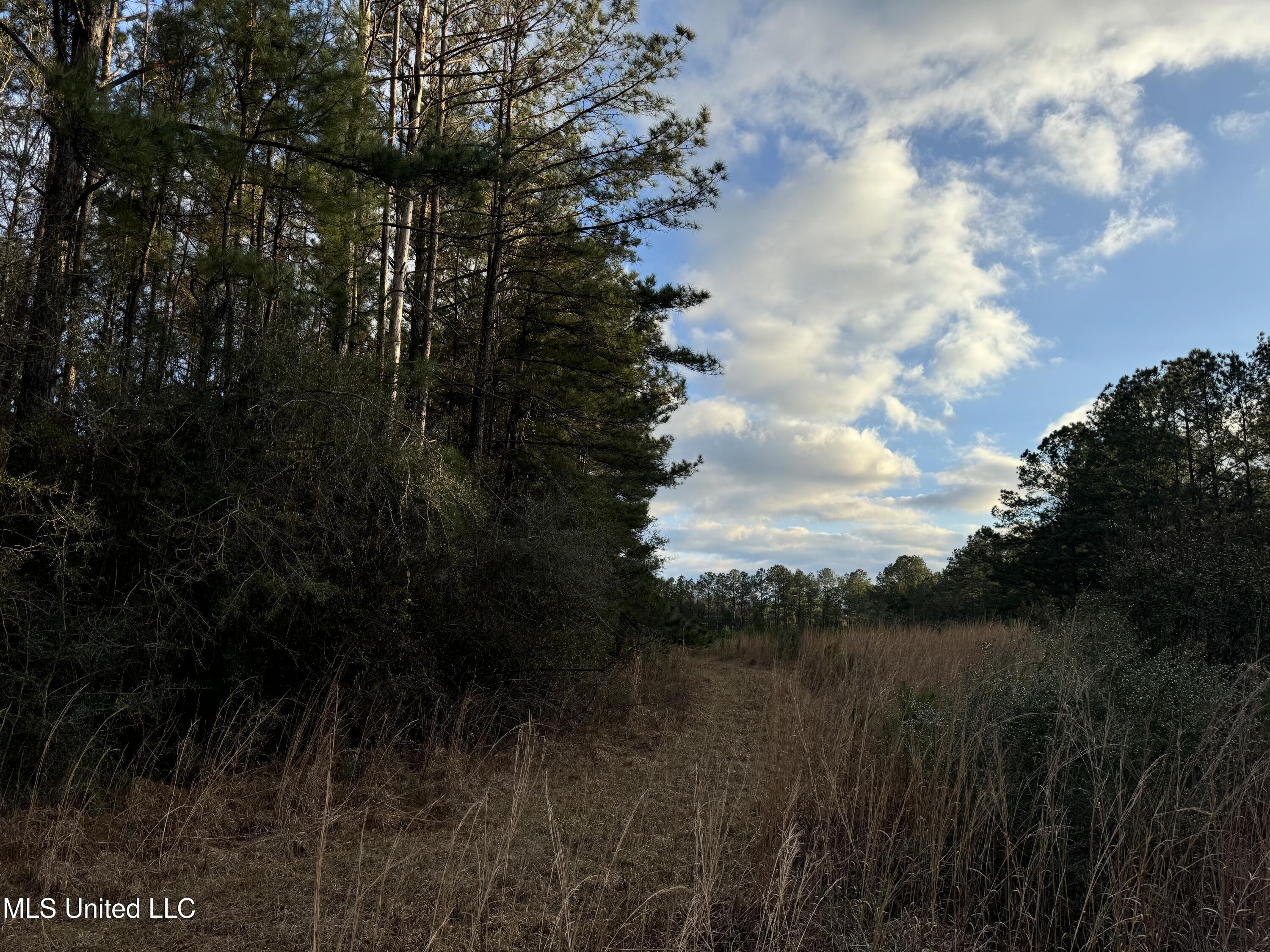 334 Baughman Road Poplarville, MS 39470 - Photo 7 of 19 IMG_1503