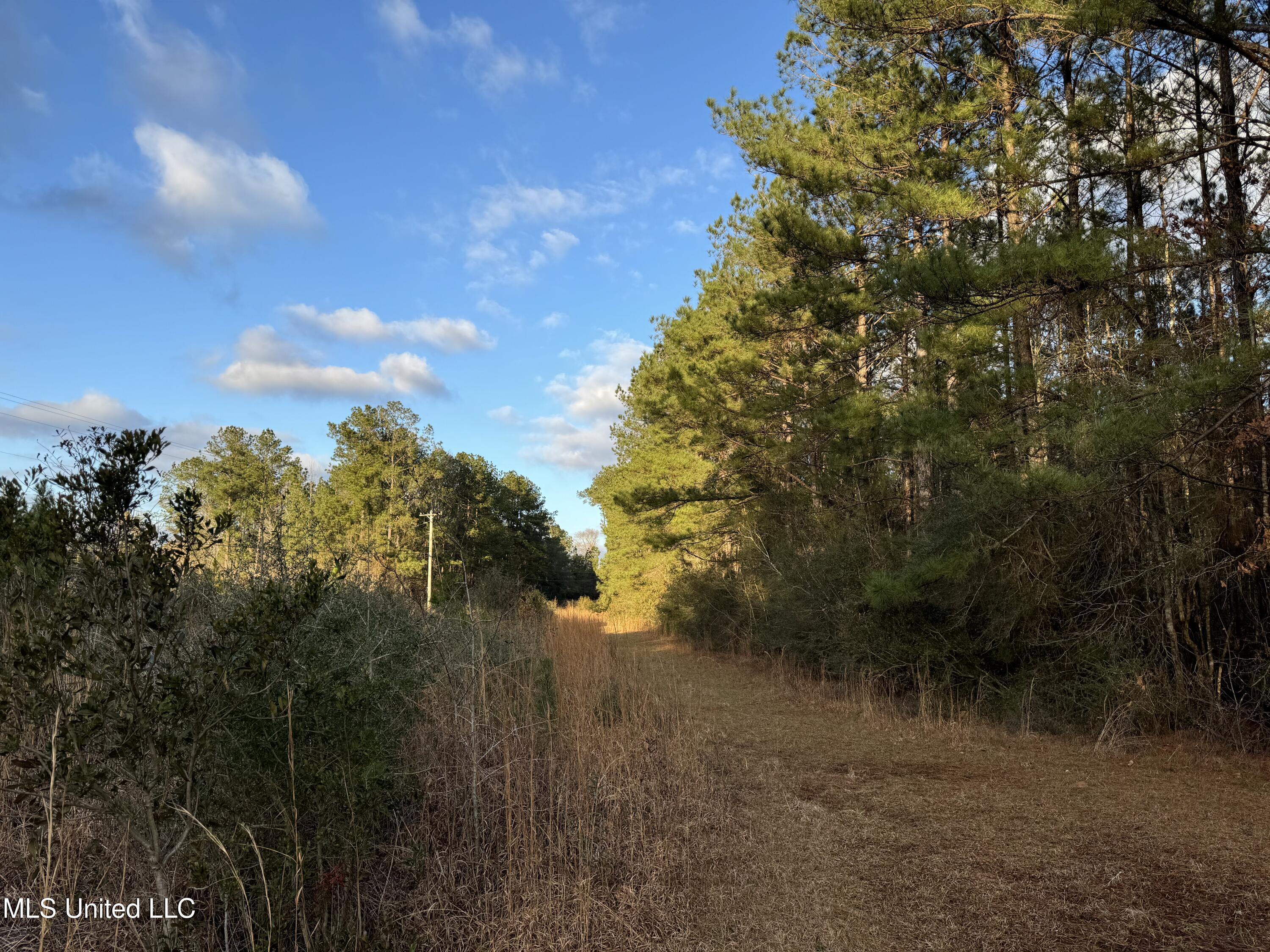 334 Baughman Road Poplarville, MS 39470 - Photo 8 of 19 IMG_1502