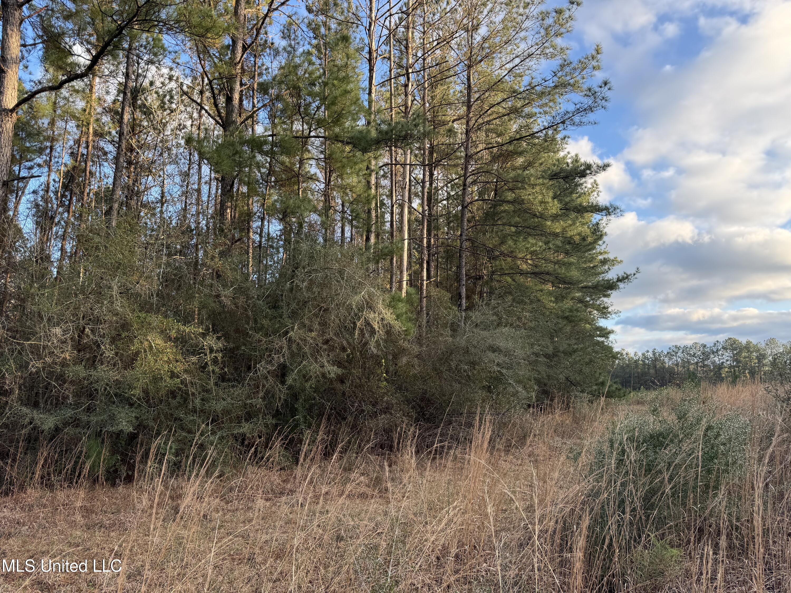 334 Baughman Road Poplarville, MS 39470 - Photo 9 of 19 IMG_1501