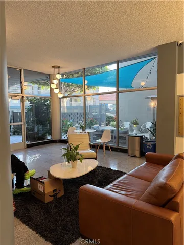 a living room with furniture and a potted plant