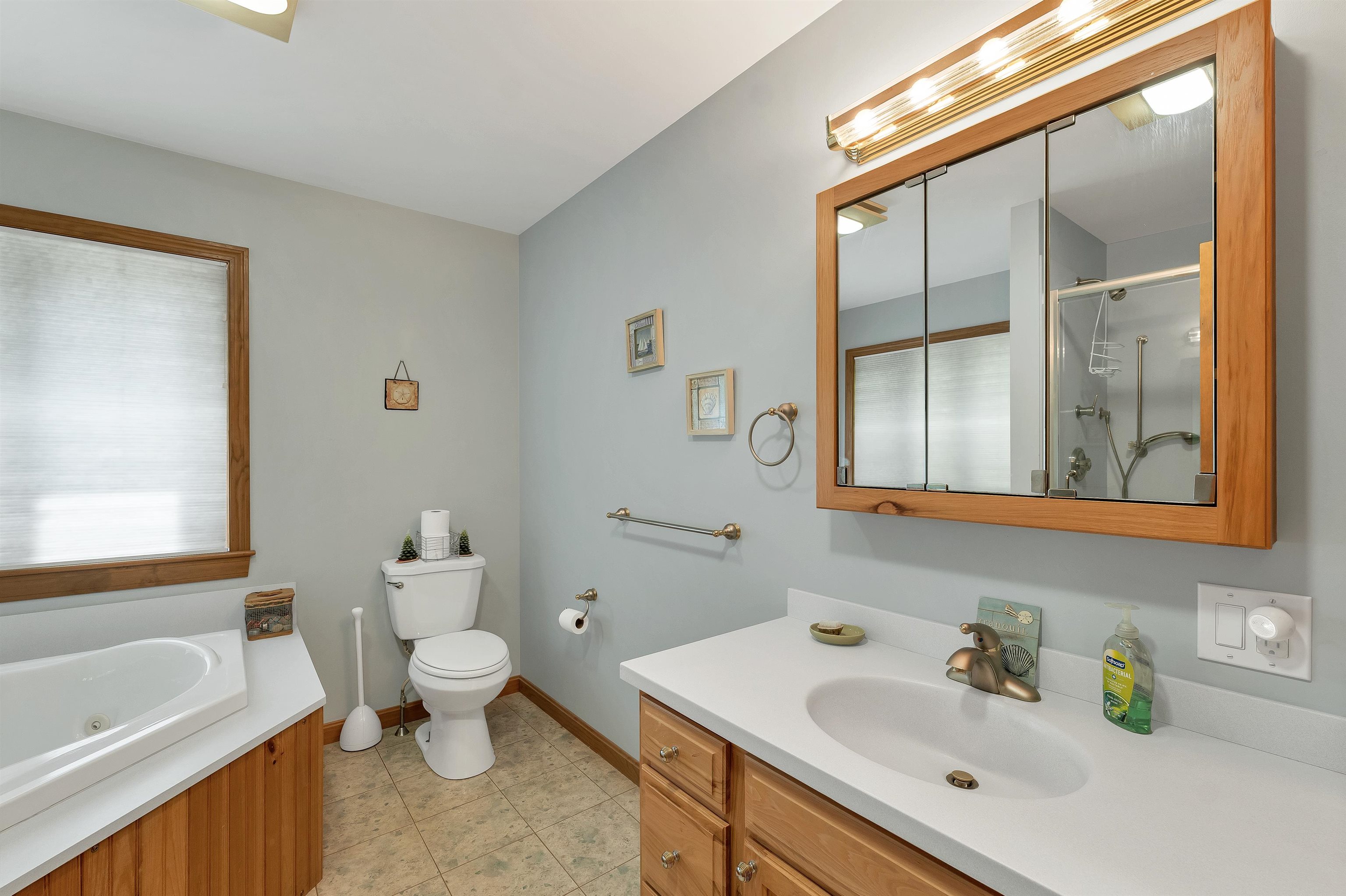 6 Millwood Road Wolfeboro, NH 03894 - Photo 19 of 44 Gallery Image 19