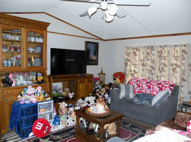 $110,000 | 241 West 7th Avenue, Nucla, CO 81424