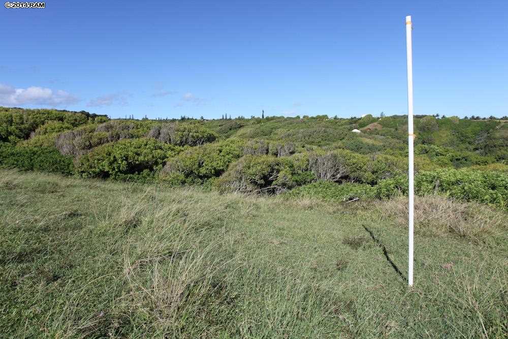 990 North Honokala Road Haiku, HI 96708 - Photo 12 of 21 a view of a city with lush green forest