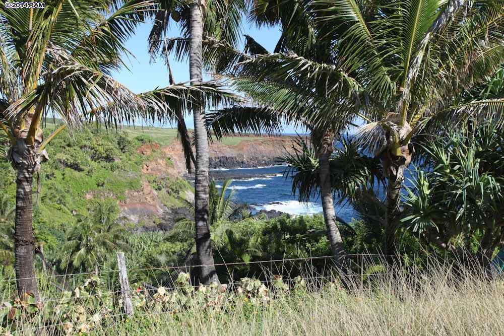 990 North Honokala Road Haiku, HI 96708 - Photo 13 of 21 a view of a palm trees in a backyard