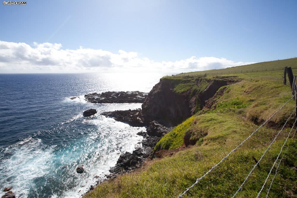 990 North Honokala Road Haiku, HI 96708 - Photo 14 of 21 a view of a yard