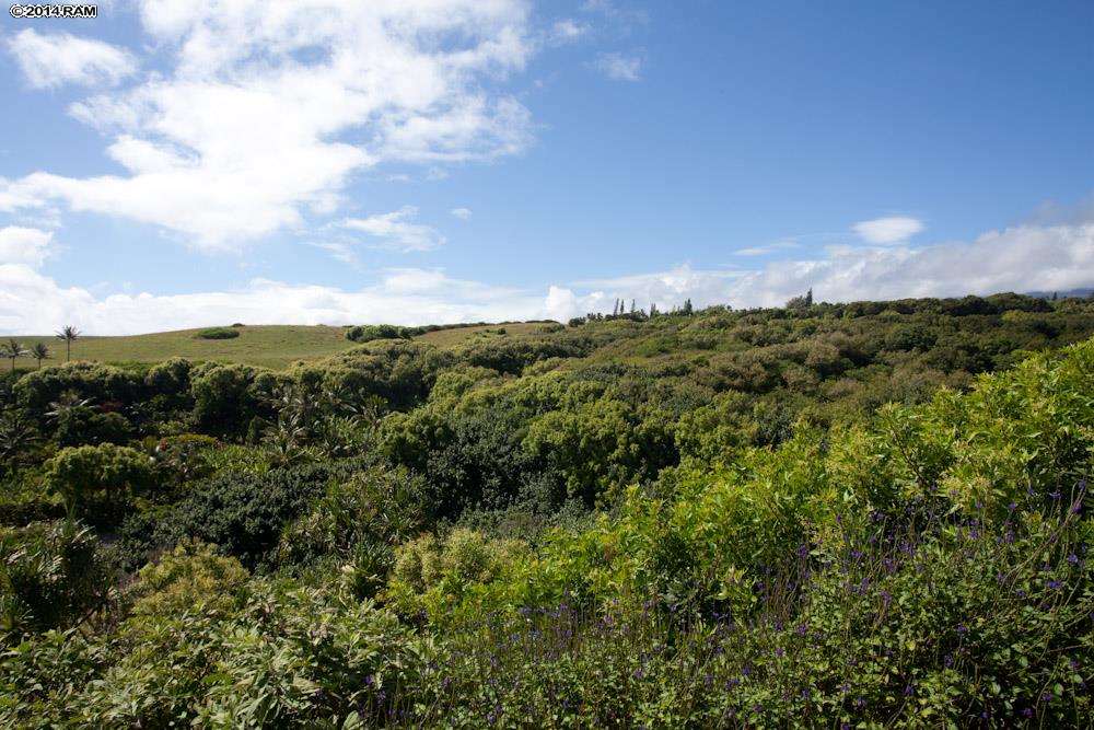 990 North Honokala Road Haiku, HI 96708 - Photo 16 of 21