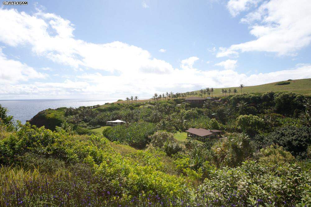 990 North Honokala Road Haiku, HI 96708 - Photo 18 of 21 a view of a lot of trees in a field