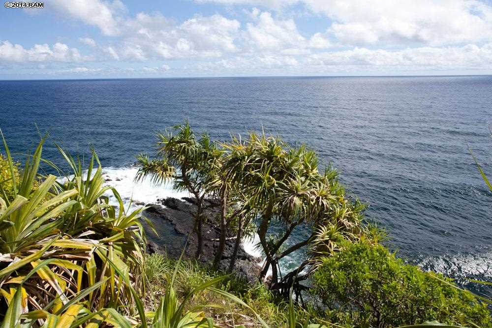 990 North Honokala Road Haiku, HI 96708 - Photo 19 of 21 a view of a garden