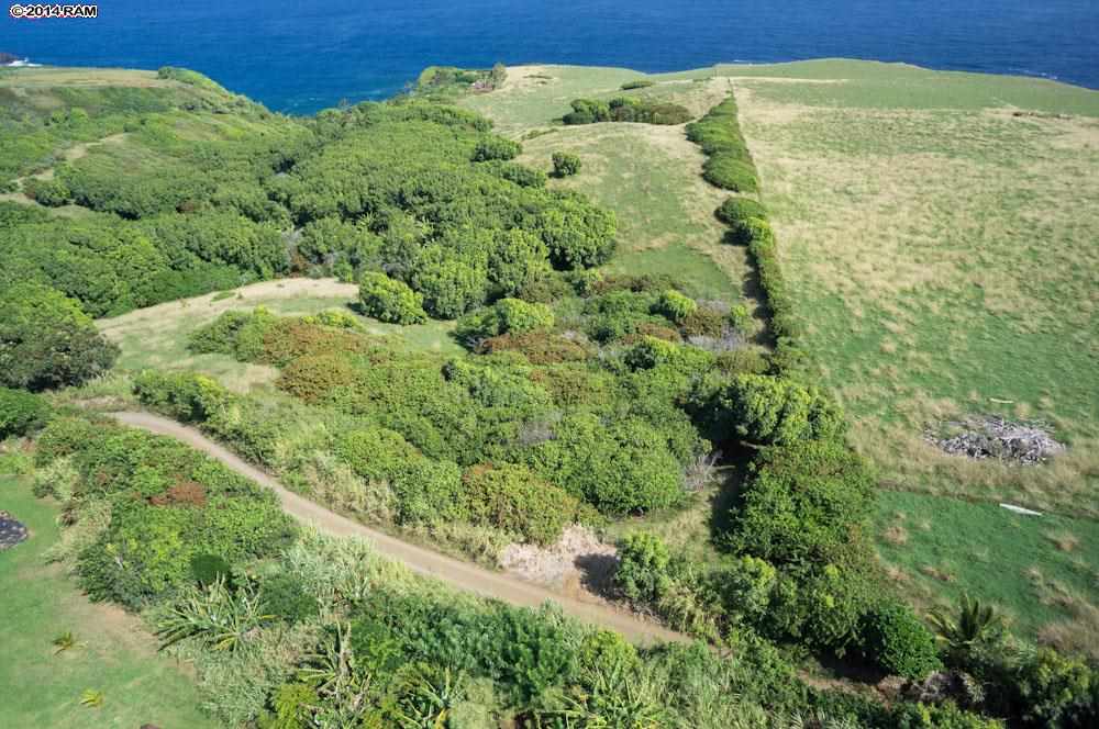 990 North Honokala Road Haiku, HI 96708 - Photo 21 of 21 a view of a big yard with large trees