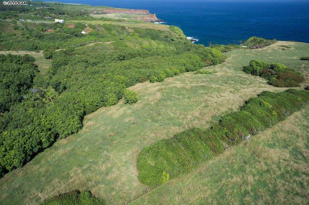 990 North Honokala Road Haiku, HI 96708 - Photo 4 of 21 a view of a big yard with green space