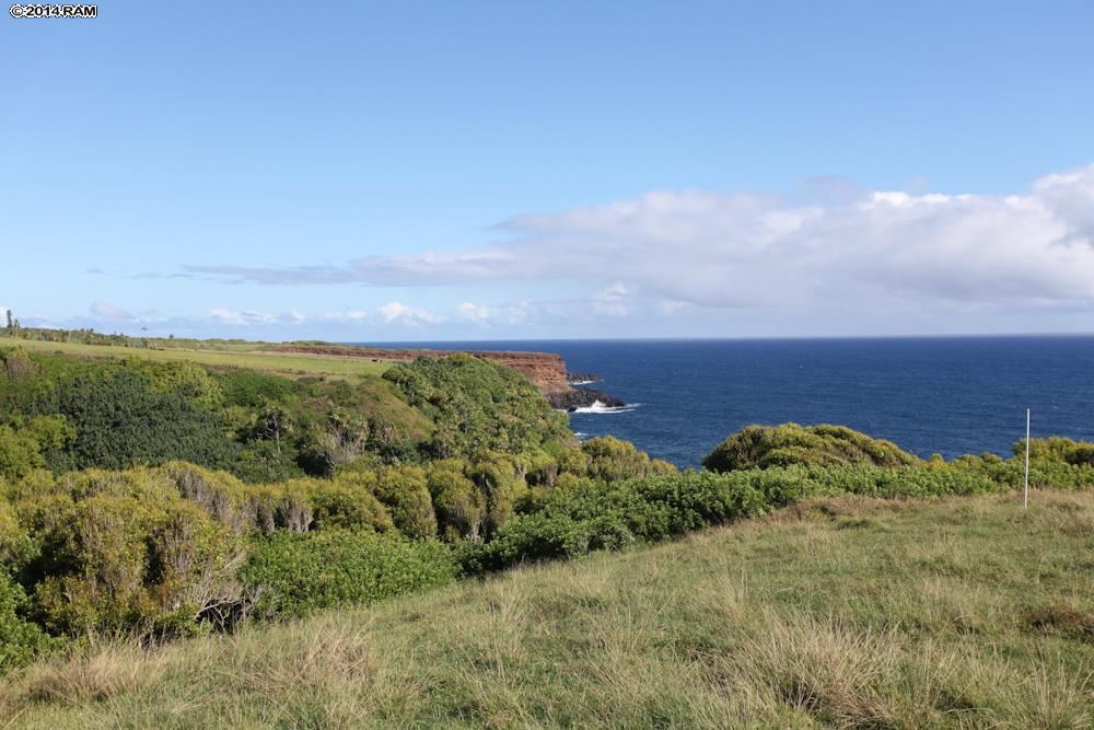 990 North Honokala Road Haiku, HI 96708 - Photo 8 of 21 a view of a field with an ocean