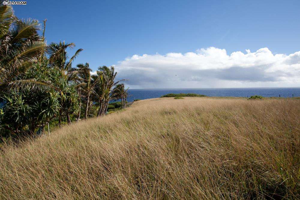 990 North Honokala Road Haiku, HI 96708 - Photo 9 of 21