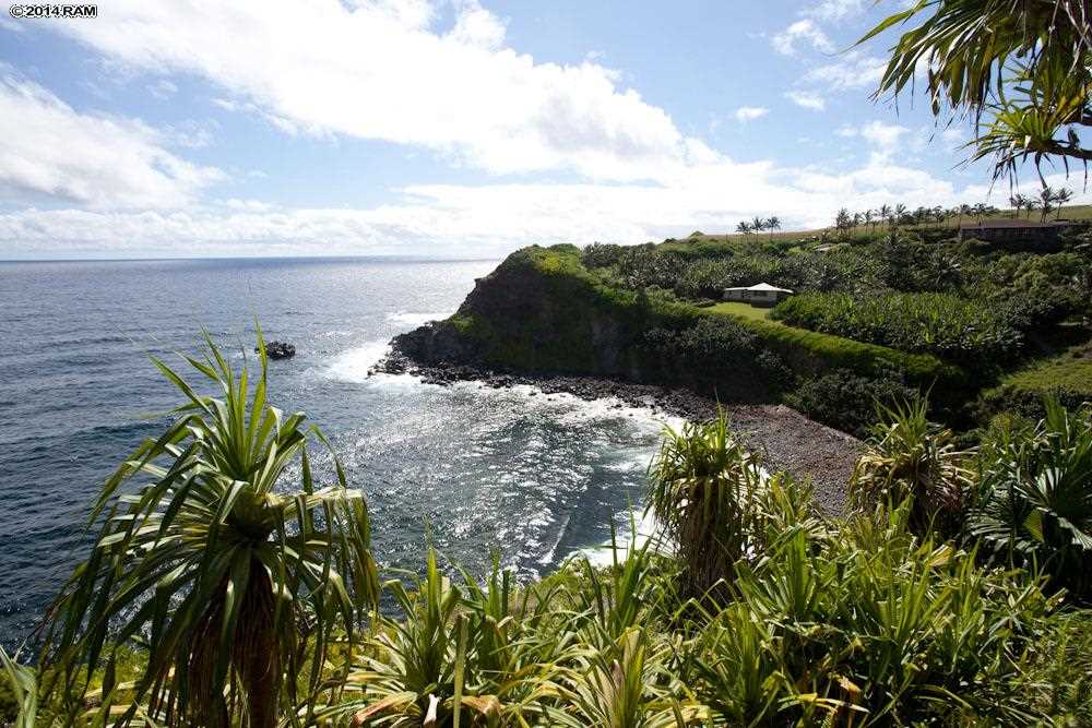 990 North Honokala Road Haiku, HI 96708 - Photo 10 of 21 a view of a garden