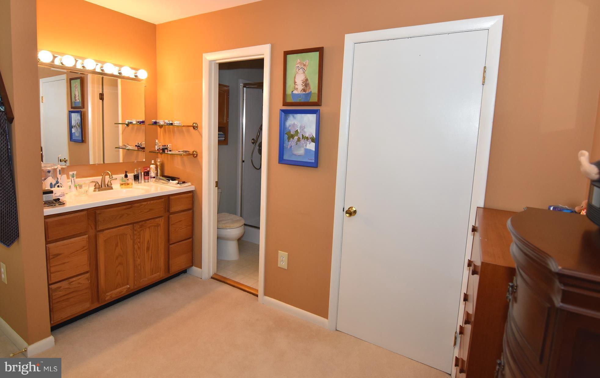 13485 Keytone Road Woodbridge, VA 22193 - Photo 25 of 30 Bedroom with large walk in closet