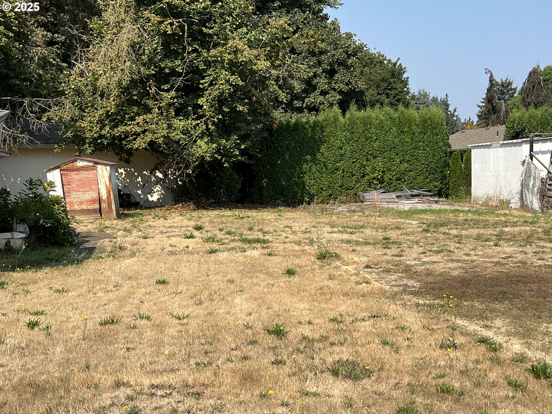 South Jefferson Lafayette, OR 97127 - Photo 4 of 15 a view of empty room with a trees