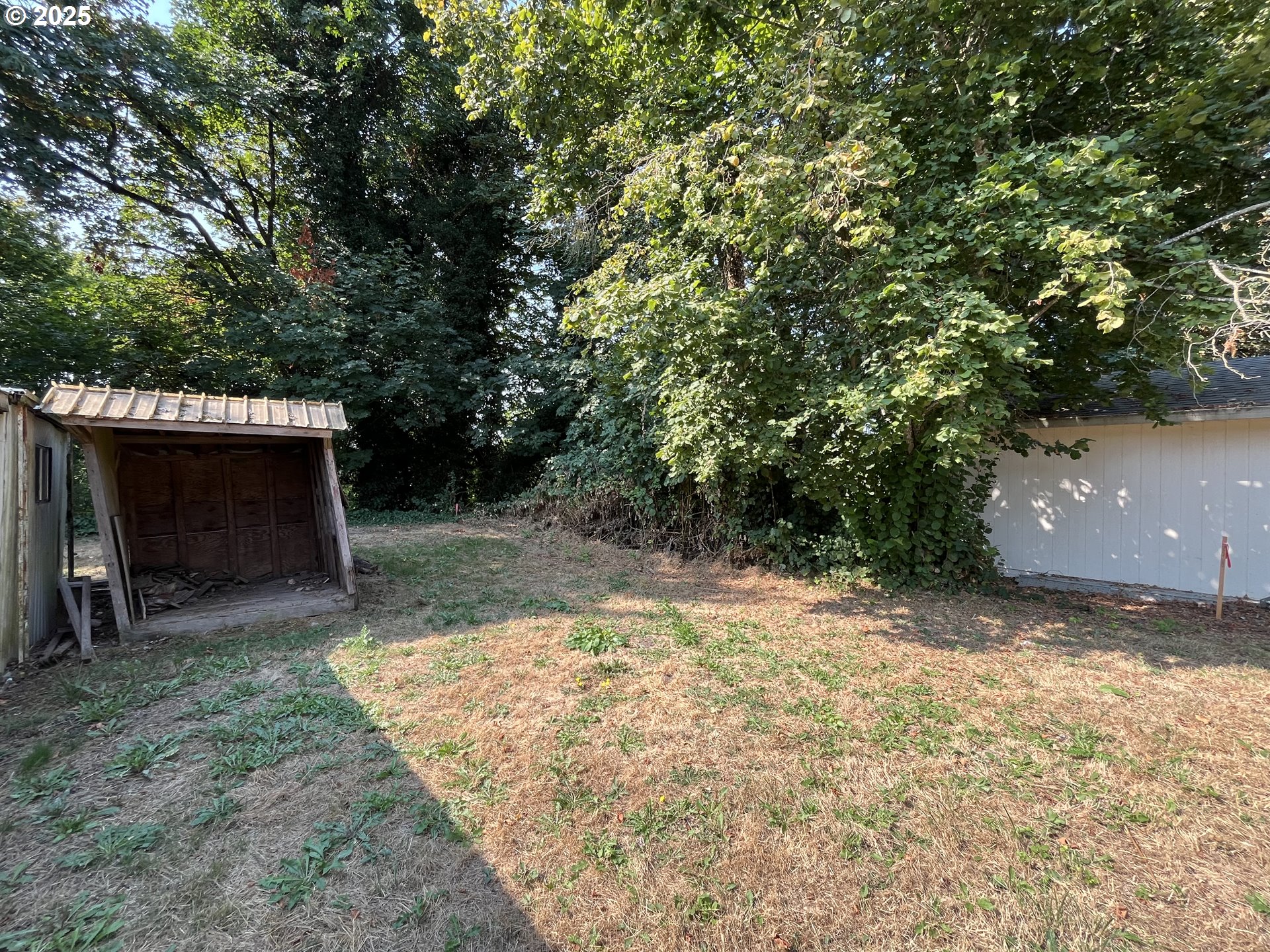 South Jefferson Lafayette, OR 97127 - Photo 6 of 15 a view of a yard with a tree