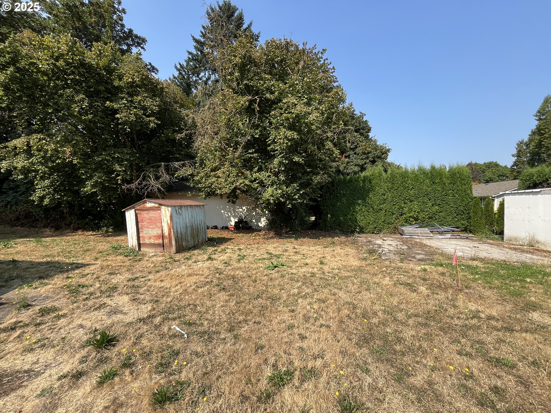 South Jefferson Lafayette, OR 97127 - Photo 7 of 15 a backyard of a house with lots of green space