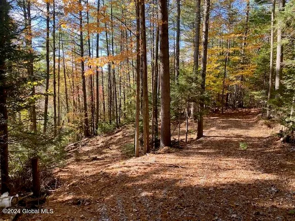 $72,000 | 35 Mountain Path, Johnsburg, NY 12853