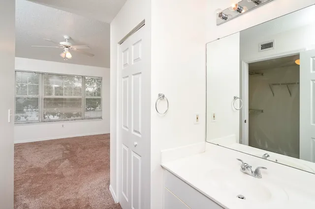a bathroom with a sink a mirror and a shower