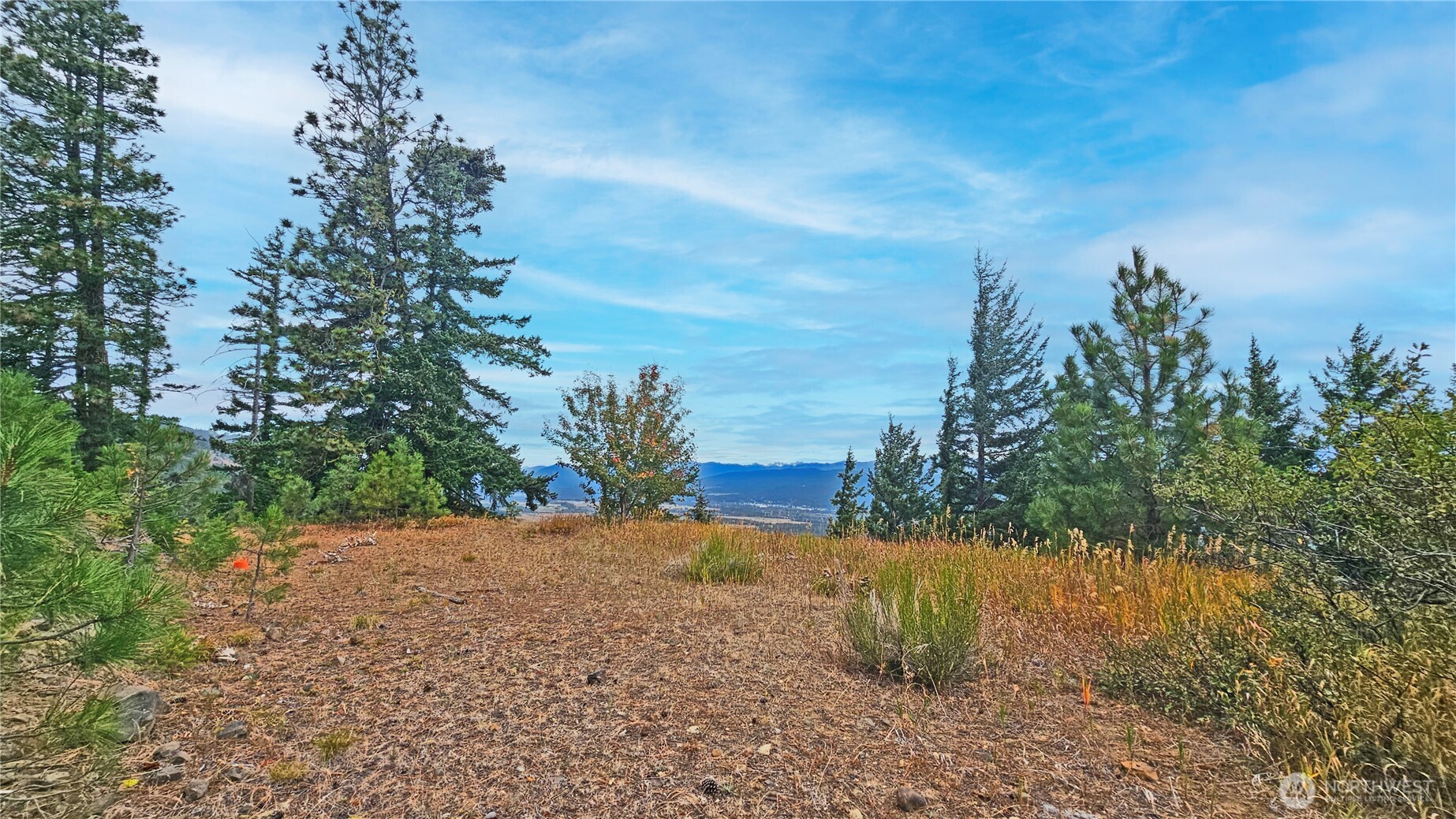 78 Skull Springs Road Cle Elum, WA 98922 - Photo 13 of 25