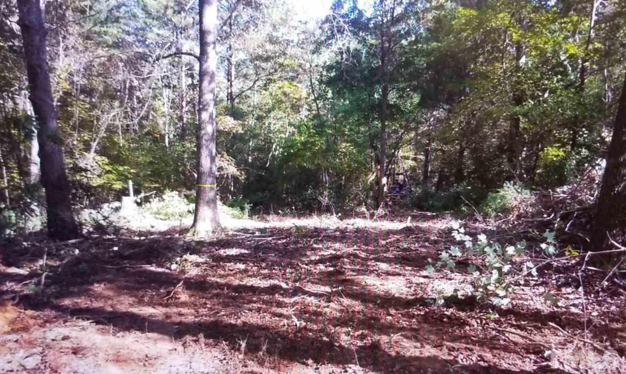 4 Radnor Farm Road Mebane, NC 27302 - Photo 3 of 7 Gallery Image 3