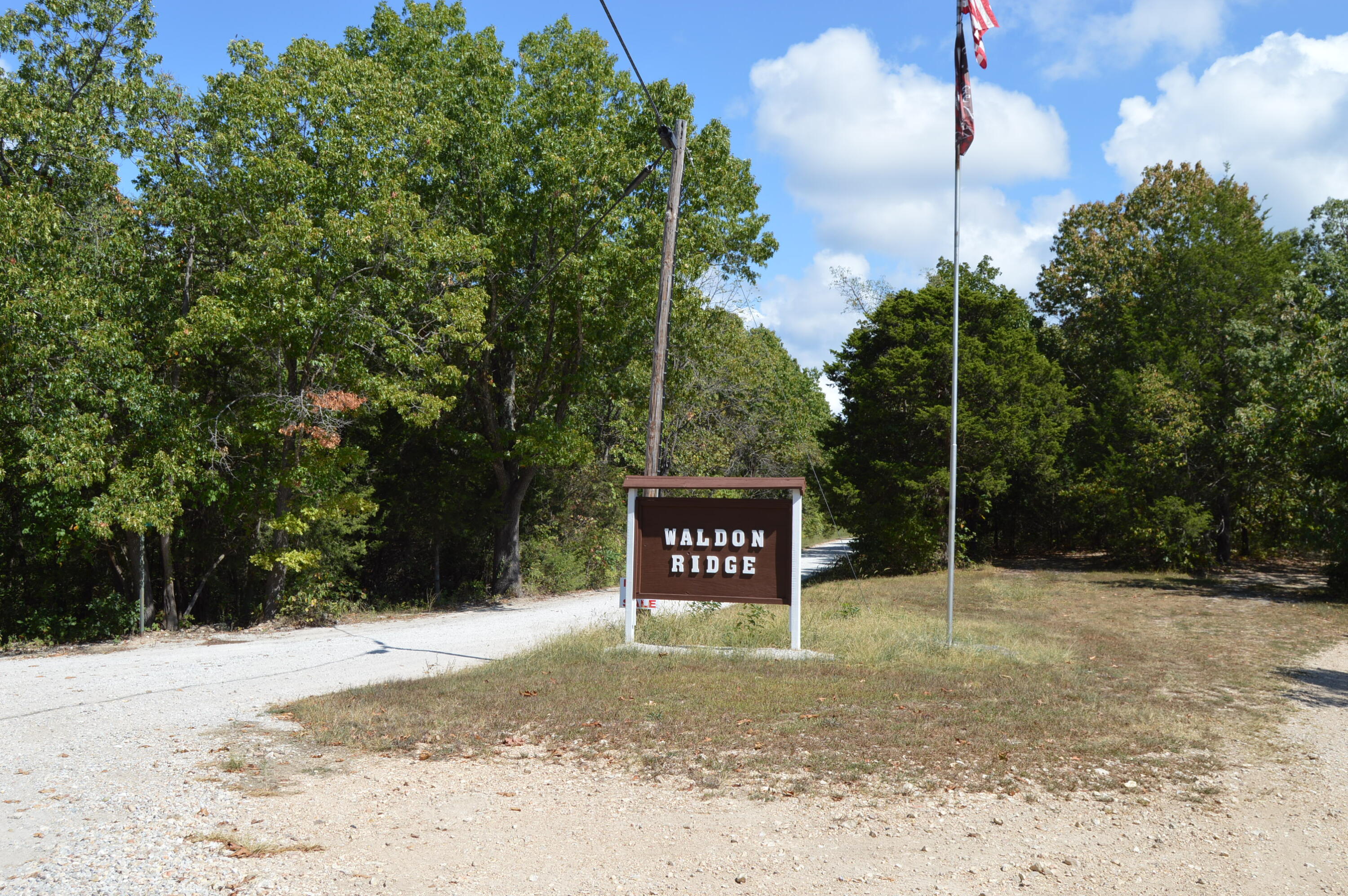 0 Waldon Ridge Lampe, MO 65681 - Photo 1 of 3 The Road