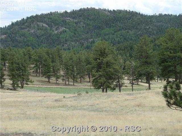 174 Park Ridge Drive Guffey, CO 80820 - Photo 2 of 12 Gallery Image 2