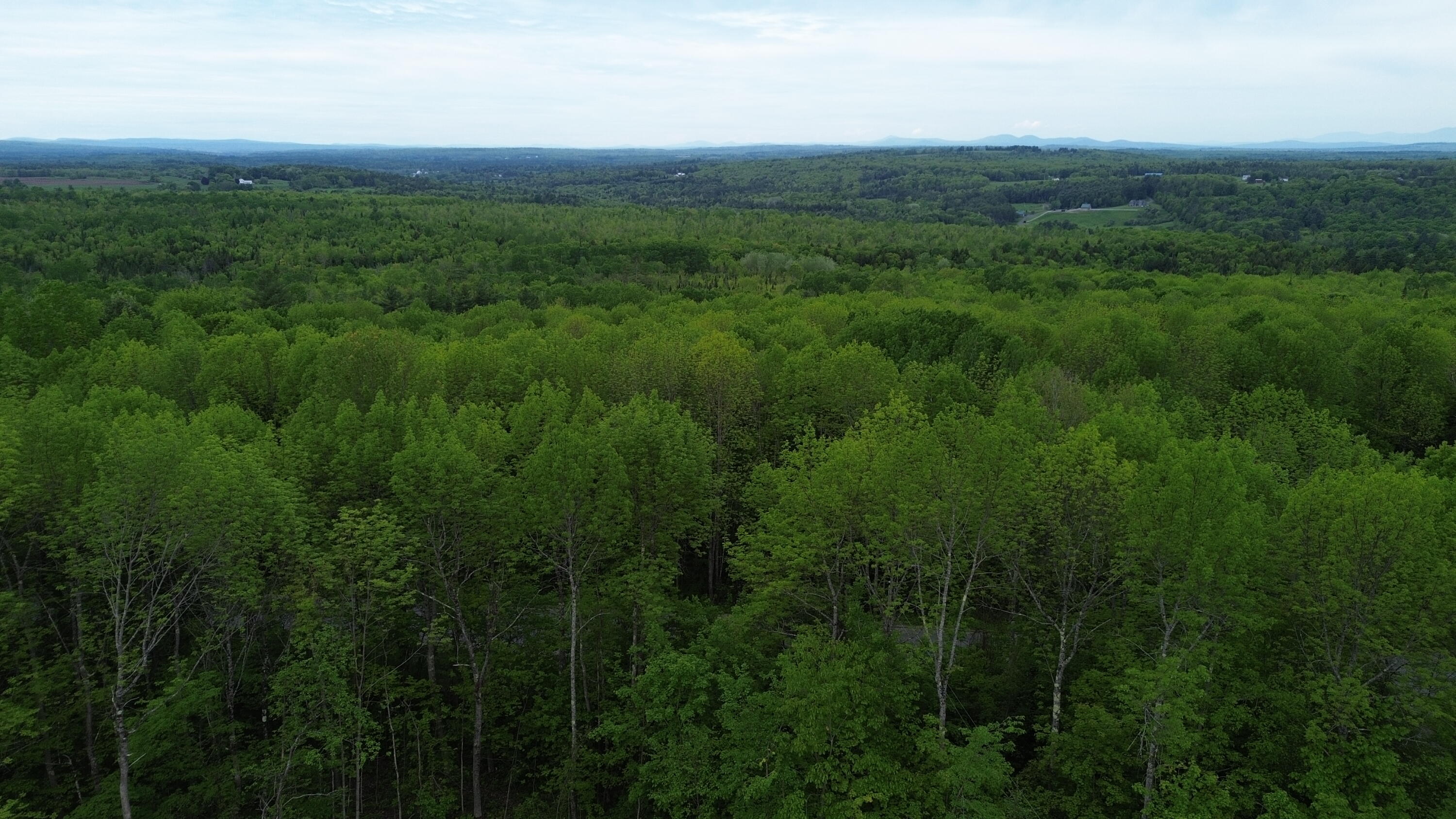 657 East Ridge Road Cornville, ME 04976 - Photo 42 of 47 DJI_0448