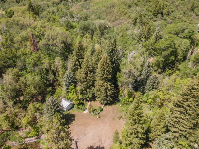 6449 North North Fork Road Eden, UT 84310 - Photo 20 of 38 Wooded property featuring a small shed and surrounding dense natural foliage
