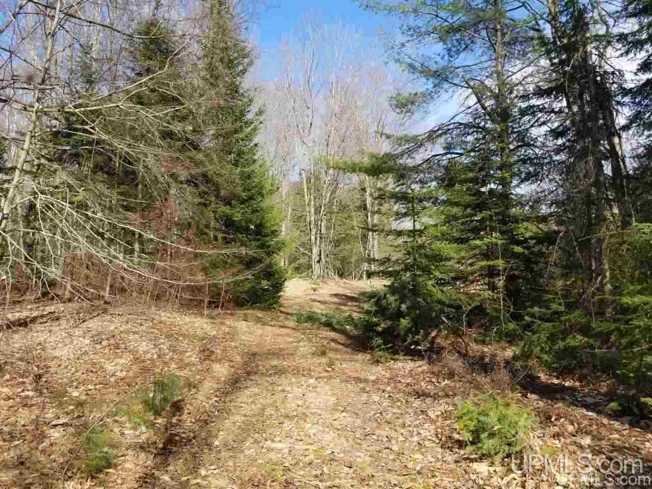 Tbd 2224 Road Wetmore, MI 49895 - Photo 12 of 14