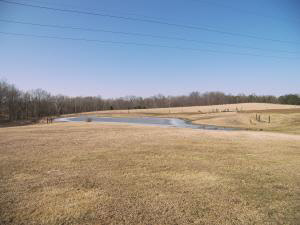 559 Earl Road Mitchell, IN 47446 - Photo 2 of 2