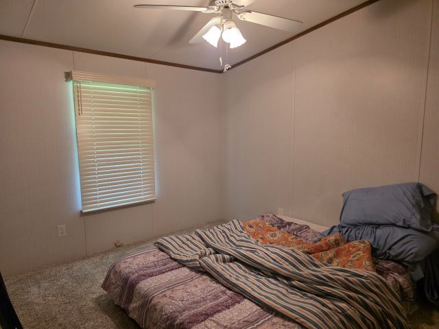 2035 Mt Hebron Road Makanda, IL 62958 - Photo 22 of 44