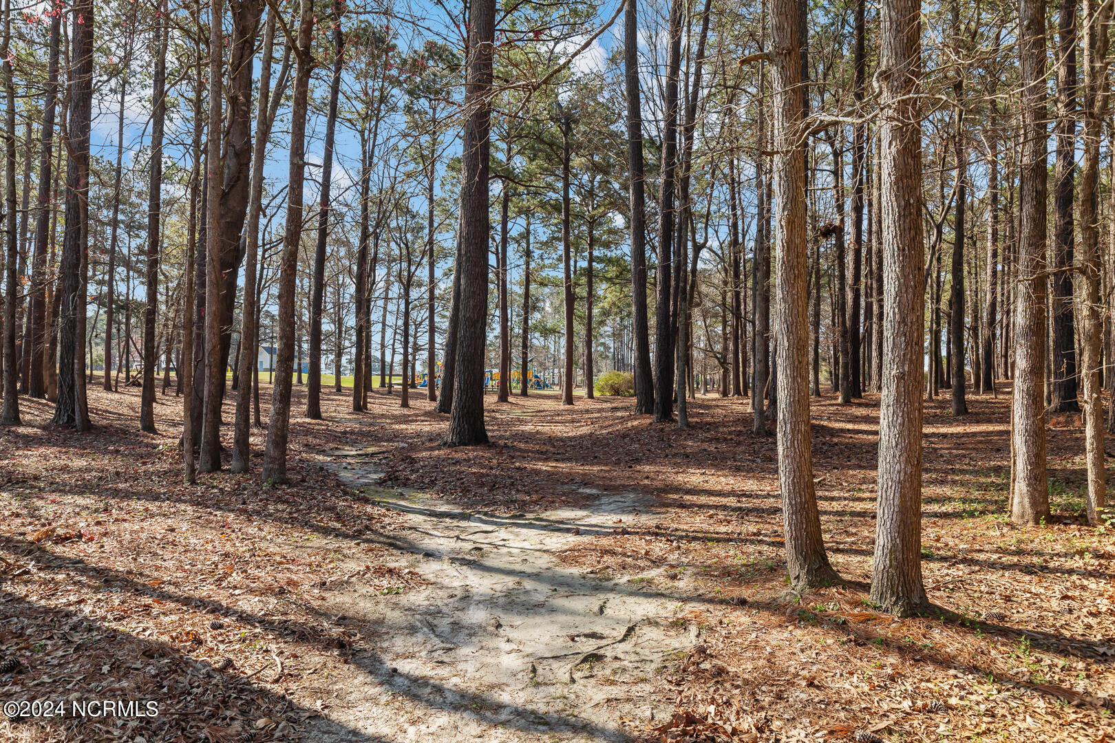 539 Shadowridge Road Jacksonville, NC 28546 - Photo 41 of 45 41
