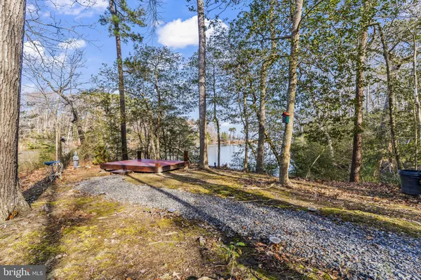 a picture of lake view