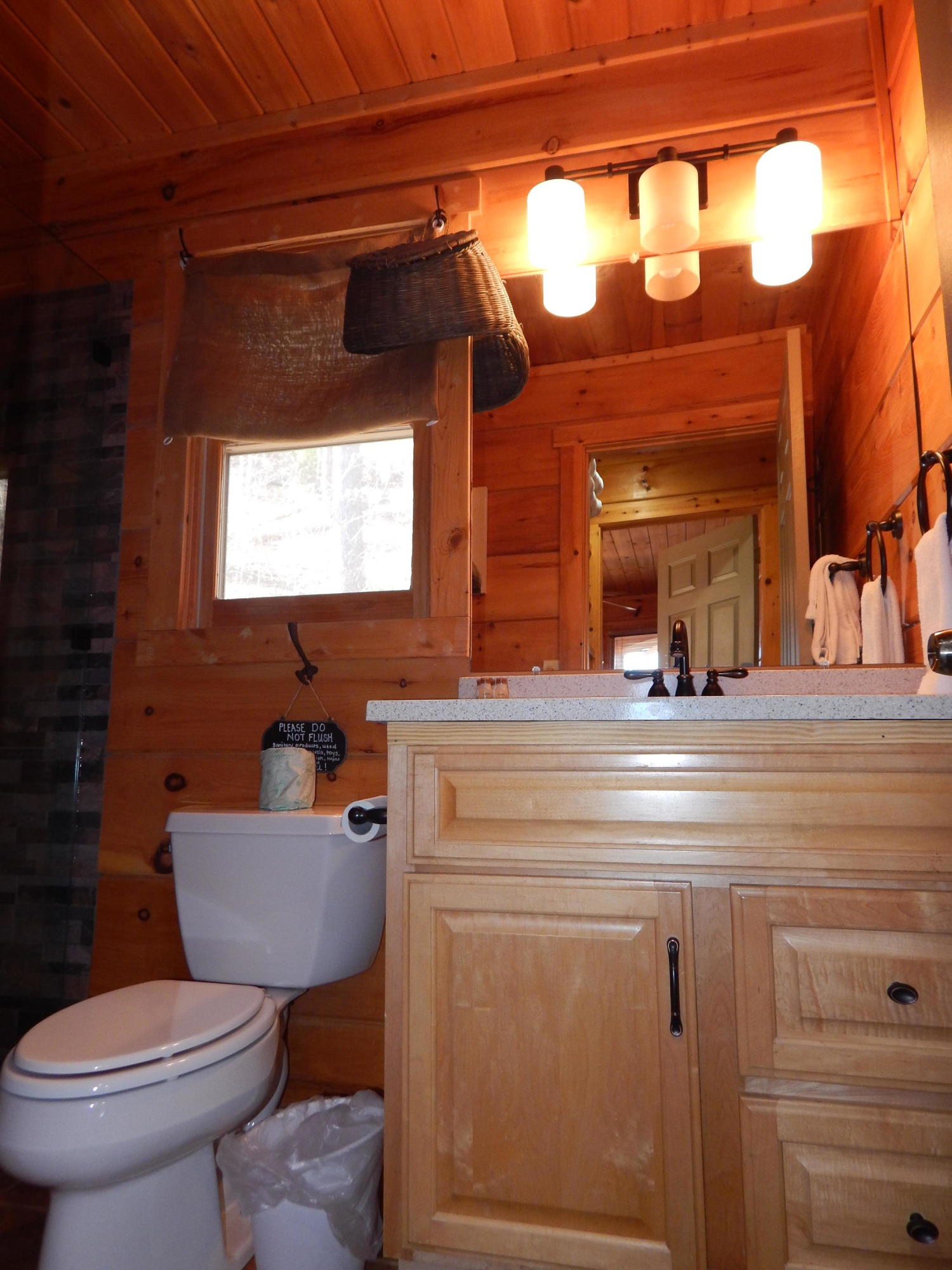 1141 Laurel Road Townsend, TN 37882 - Photo 23 of 32 DSCN6835