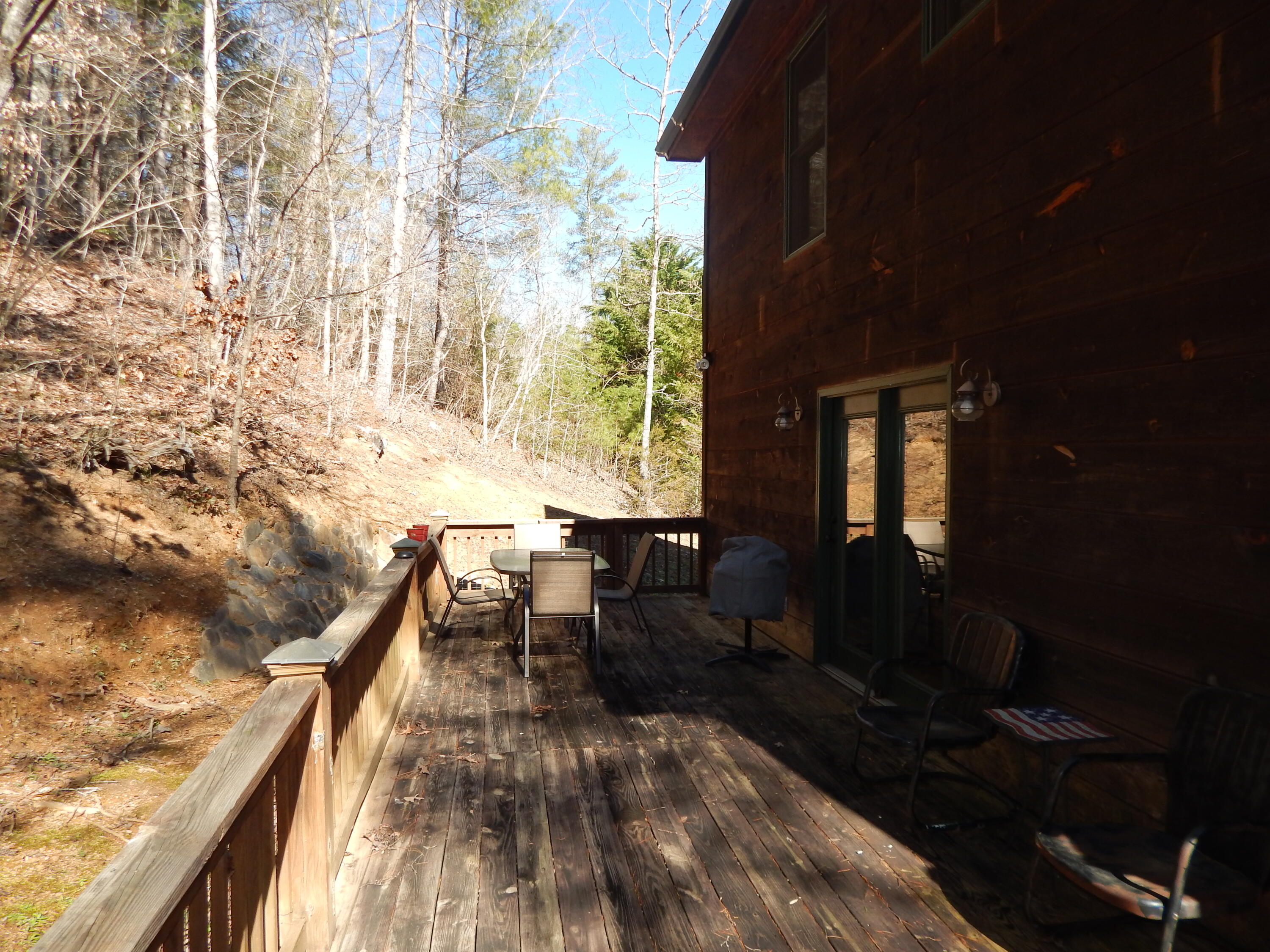 1141 Laurel Road Townsend, TN 37882 - Photo 26 of 32 DSCN6839