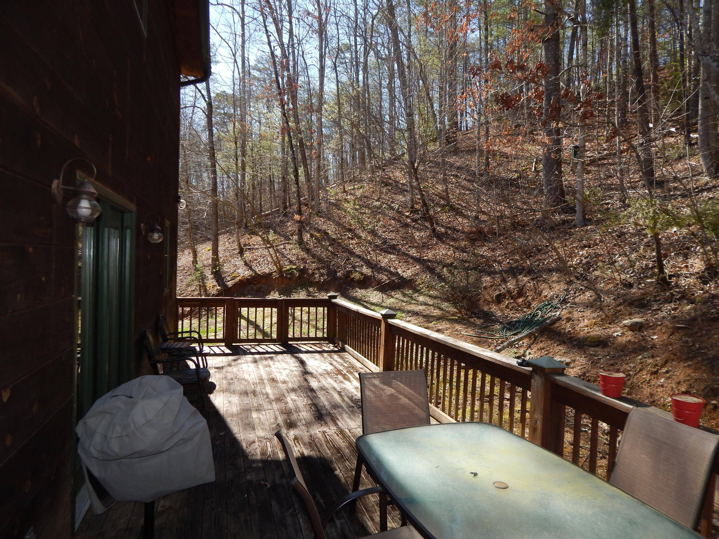1141 Laurel Road Townsend, TN 37882 - Photo 27 of 32 DSCN6840