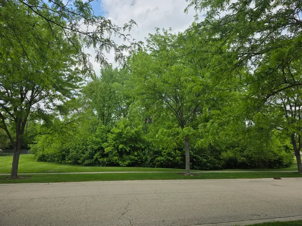 $160,000 | 1074-1078 Santa Fe Street, Bartlett, IL 60103