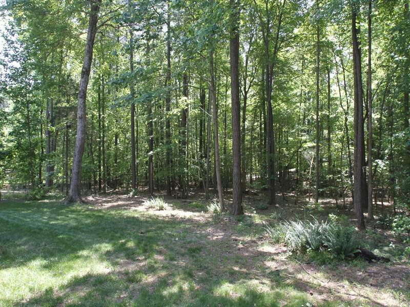 5813 Ventry Court Raleigh, NC 27613 - Photo 11 of 12 Look at those trees! Backs to natural wooded buffer and allows for quiet, privacy in this wonderful neighborhood! Exterior Back