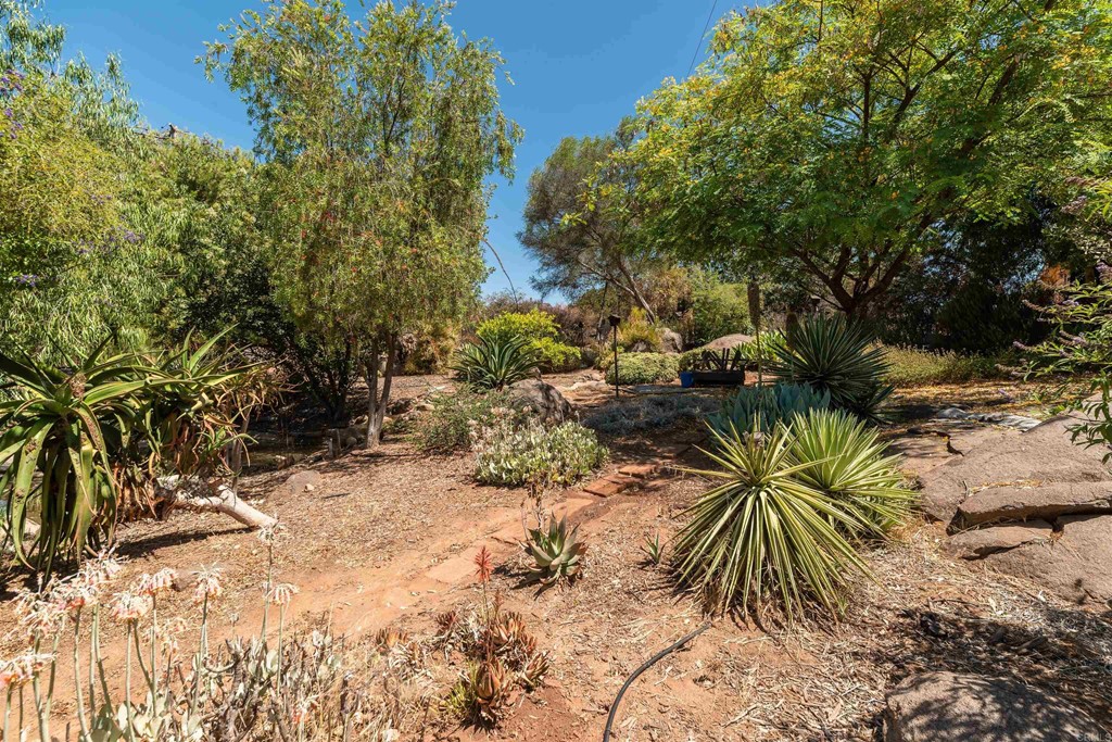 1168 Alpine Heights Road Alpine, CA 91901 - Photo 42 of 72