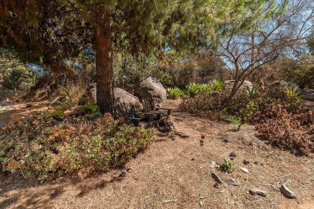 1168 Alpine Heights Road Alpine, CA 91901 - Photo 49 of 72