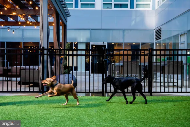 a backyard with table and chairs