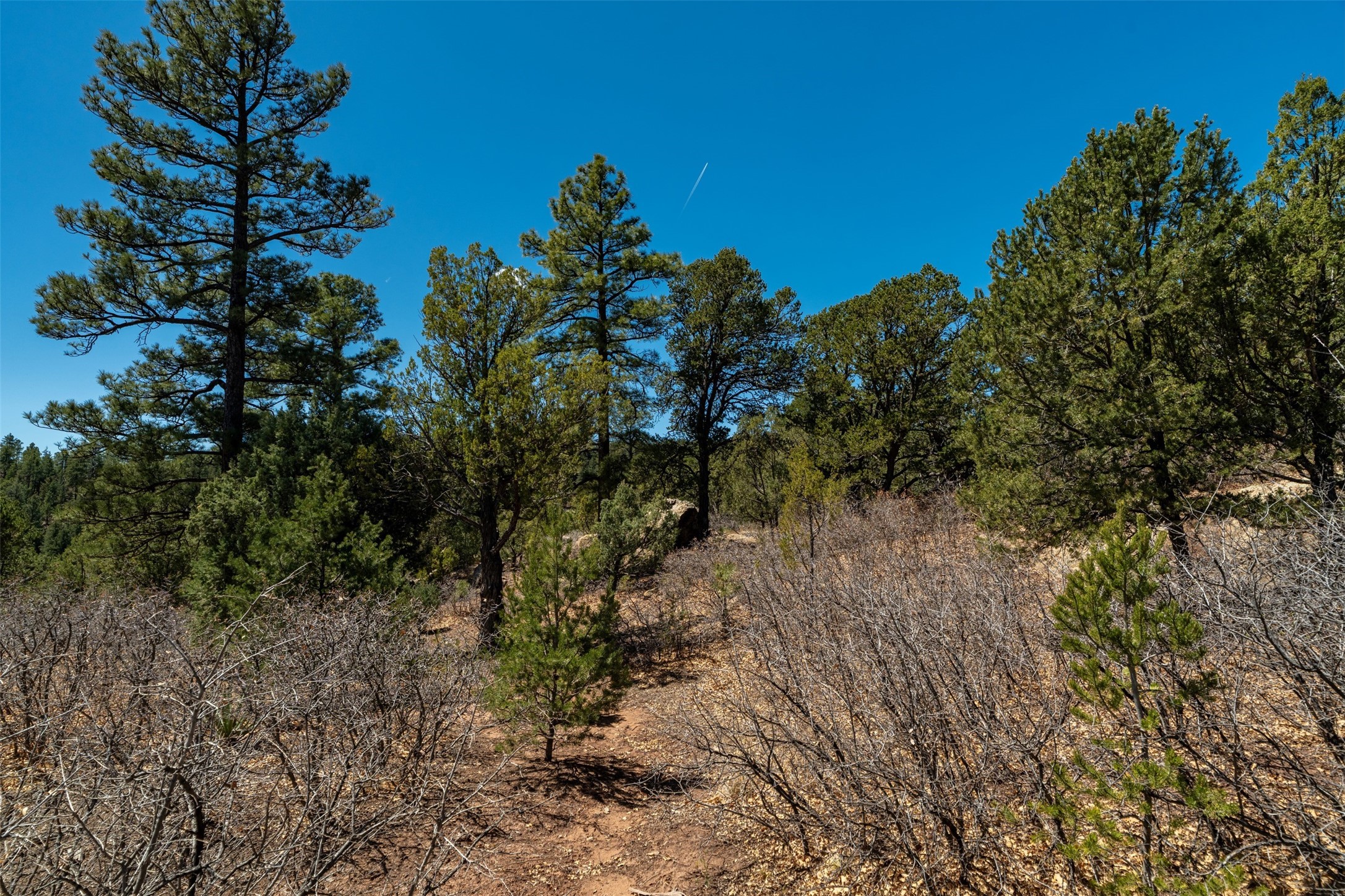 30 Monte La Cueva Road Glorieta, NM 87535 - Photo 67 of 91