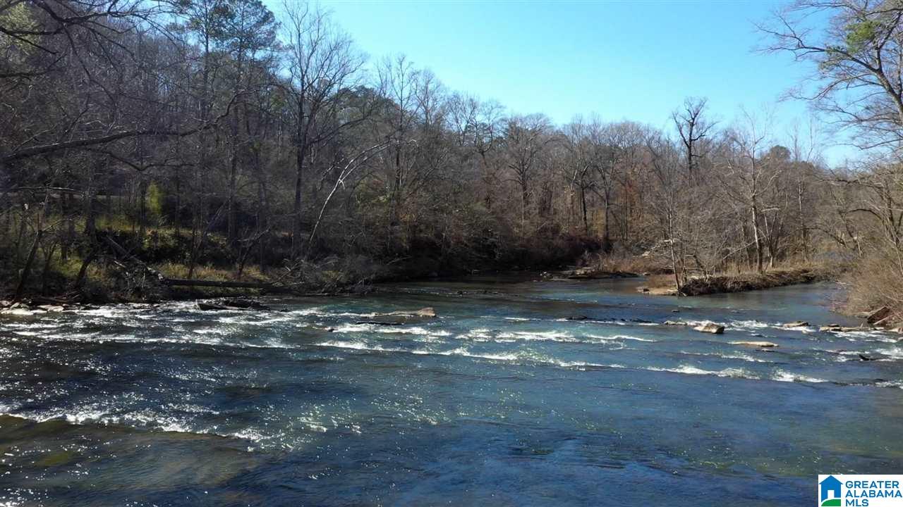 2351 Grants Mill Road, Unit 2351 Birmingham, AL 35210 - Photo 5 of 6