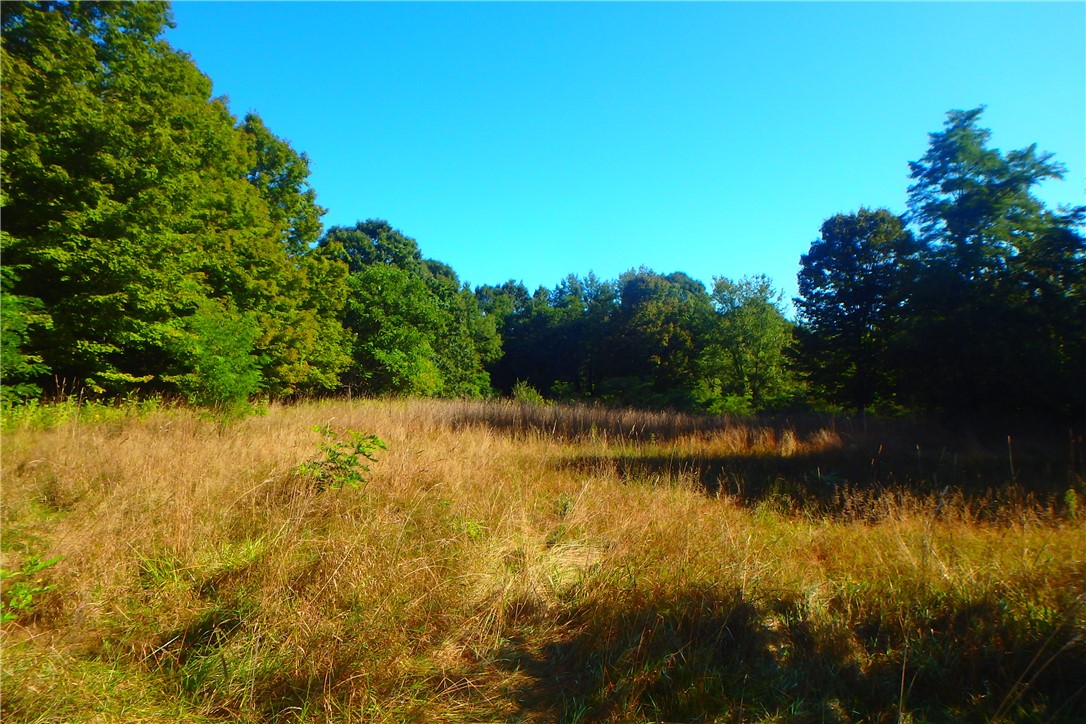 14024 Cosgrove Road Sterling, NY 13156 - Photo 12 of 20