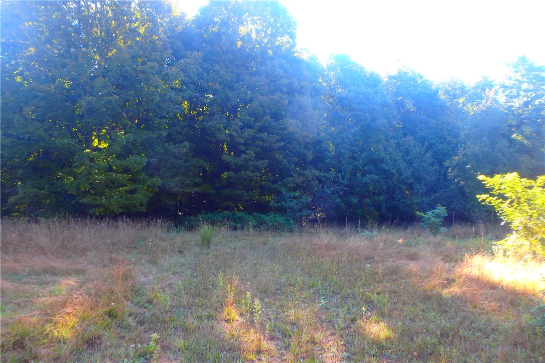 14024 Cosgrove Road Sterling, NY 13156 - Photo 13 of 20